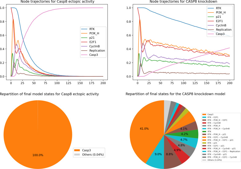 MaBoSS simulations for Casp 8 mutants. Left panels: Node trajectories and pie chart showing the asymptotic solutions for Casp8 overexpression.