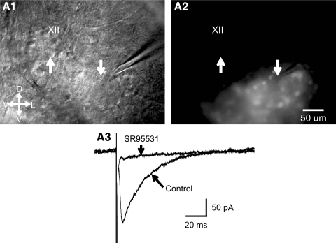 Fig. 3.