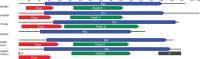 FIG 1