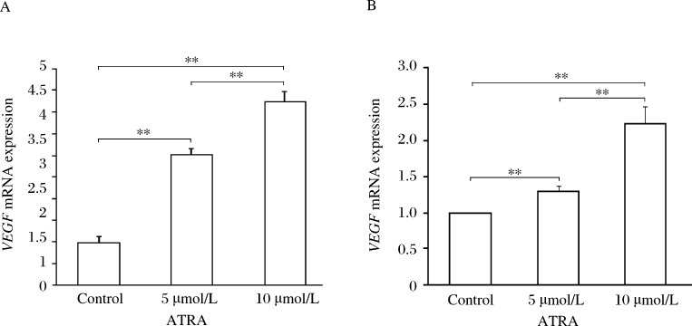 Fig.1