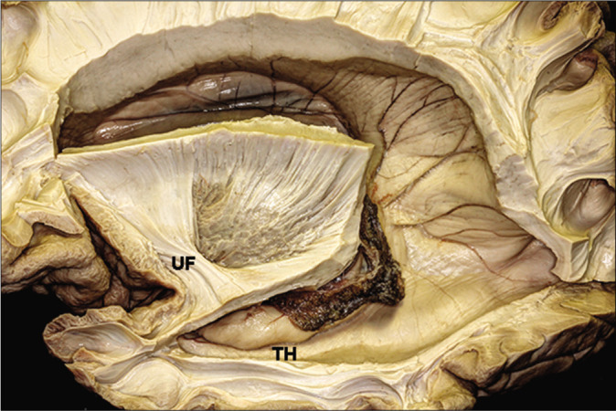 Figure 7: