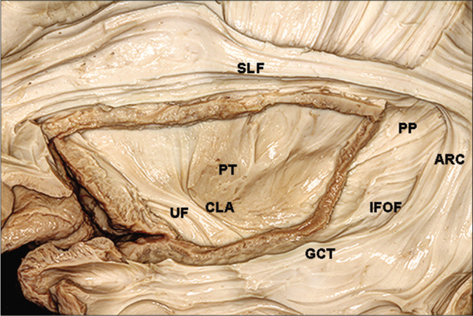 Figure 5: