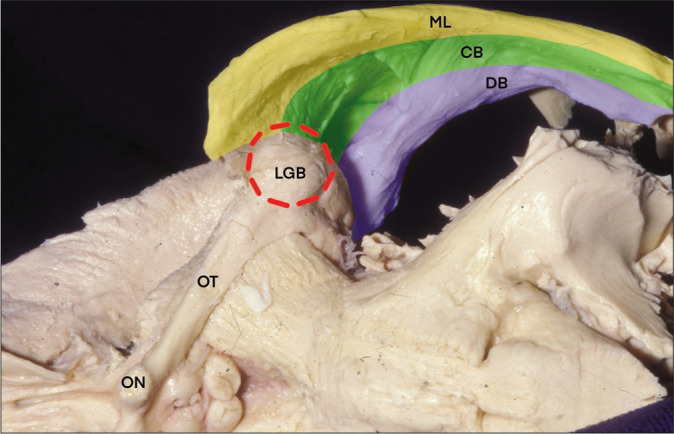 Figure 4: