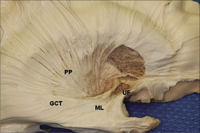 Figure 6: