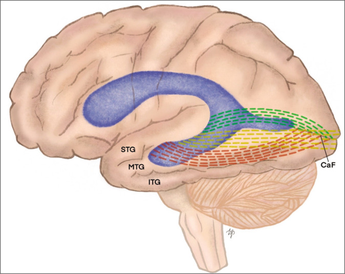 Figure 2: