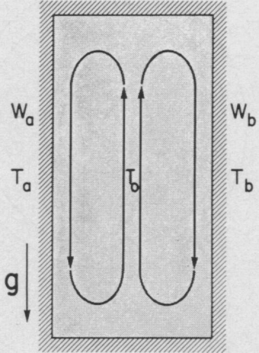 graphic file with name pnas00180-0129-b.jpg