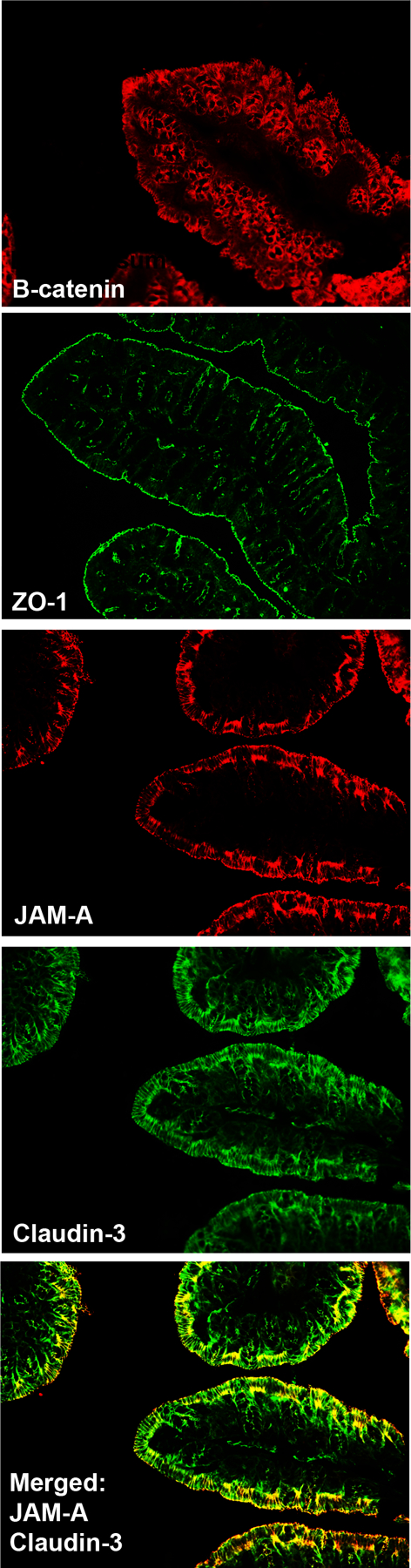 Figure 2: