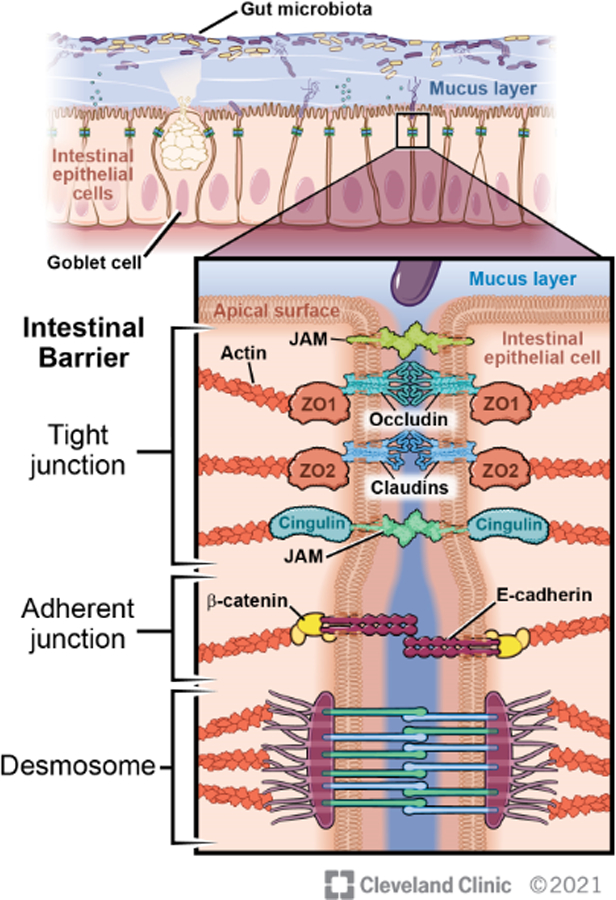 Figure 1: