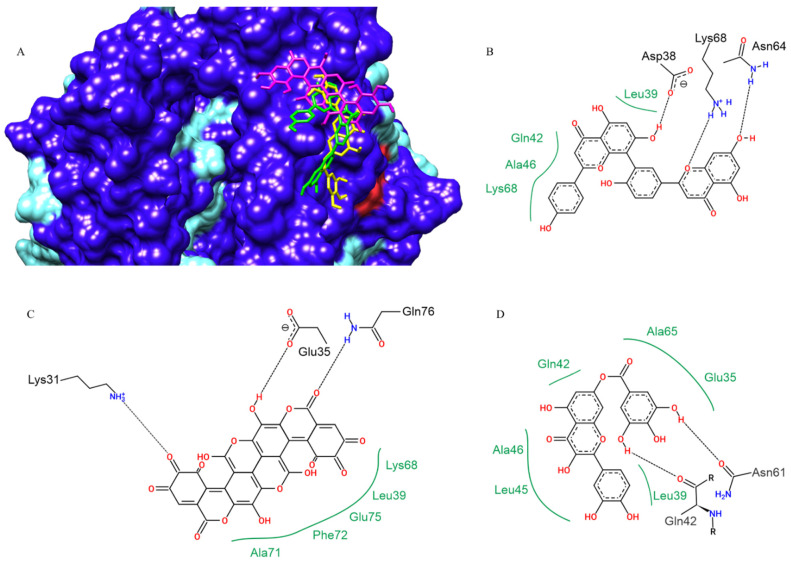 Figure 7