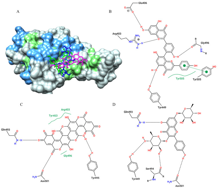 Figure 6