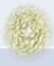 graphic file with name fimmu-08-00879-i013.jpg
