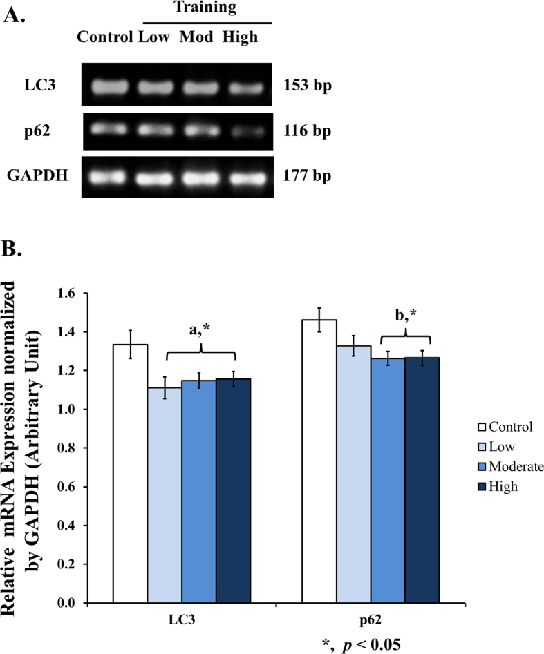 Figure 5