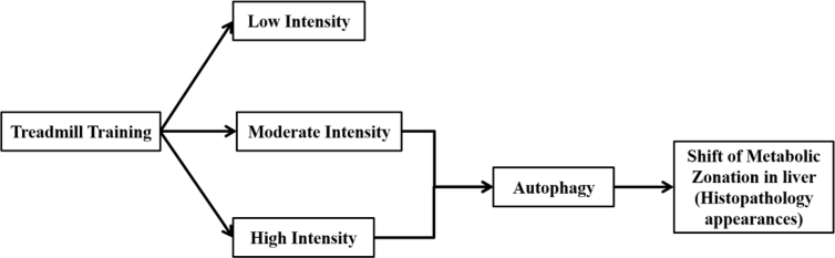 Figure 9