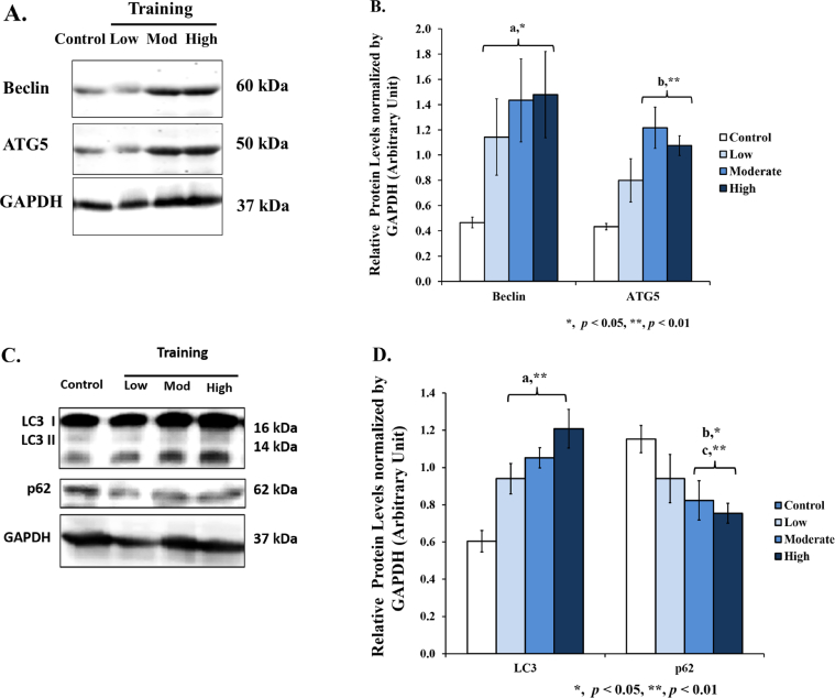 Figure 6