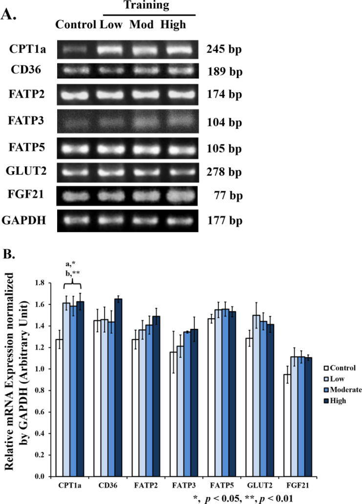 Figure 7