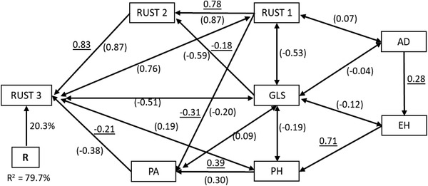 FIGURE 3