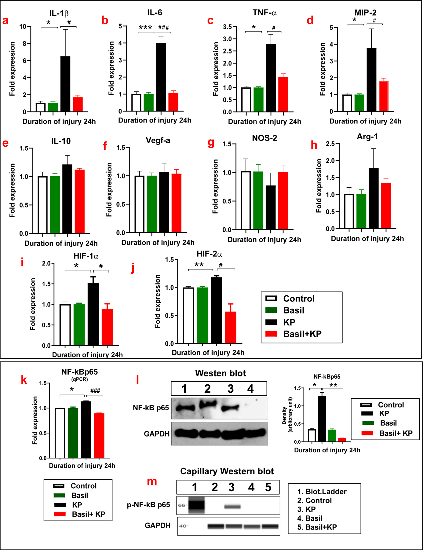 Figure 3: