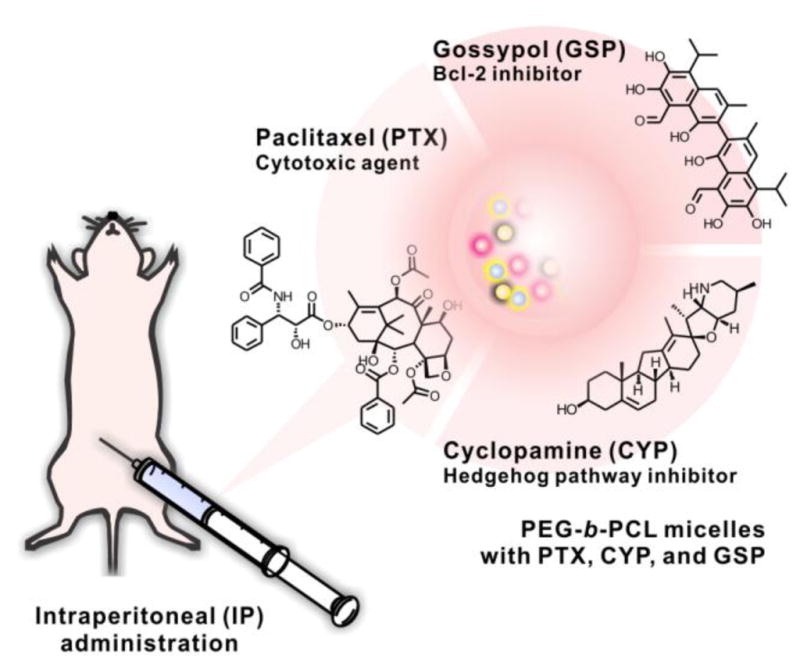 Fig 1