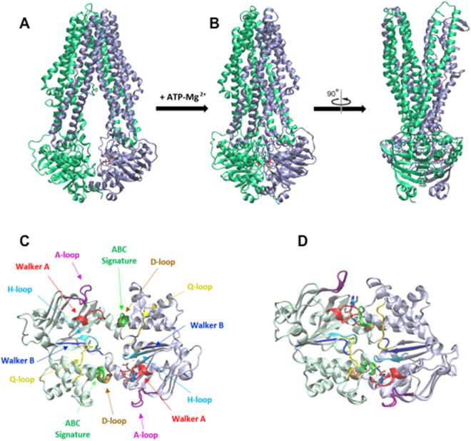Figure 7