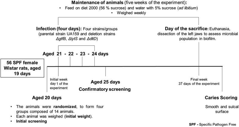 Figure 1.