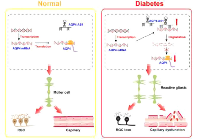 Image, graphical abstract