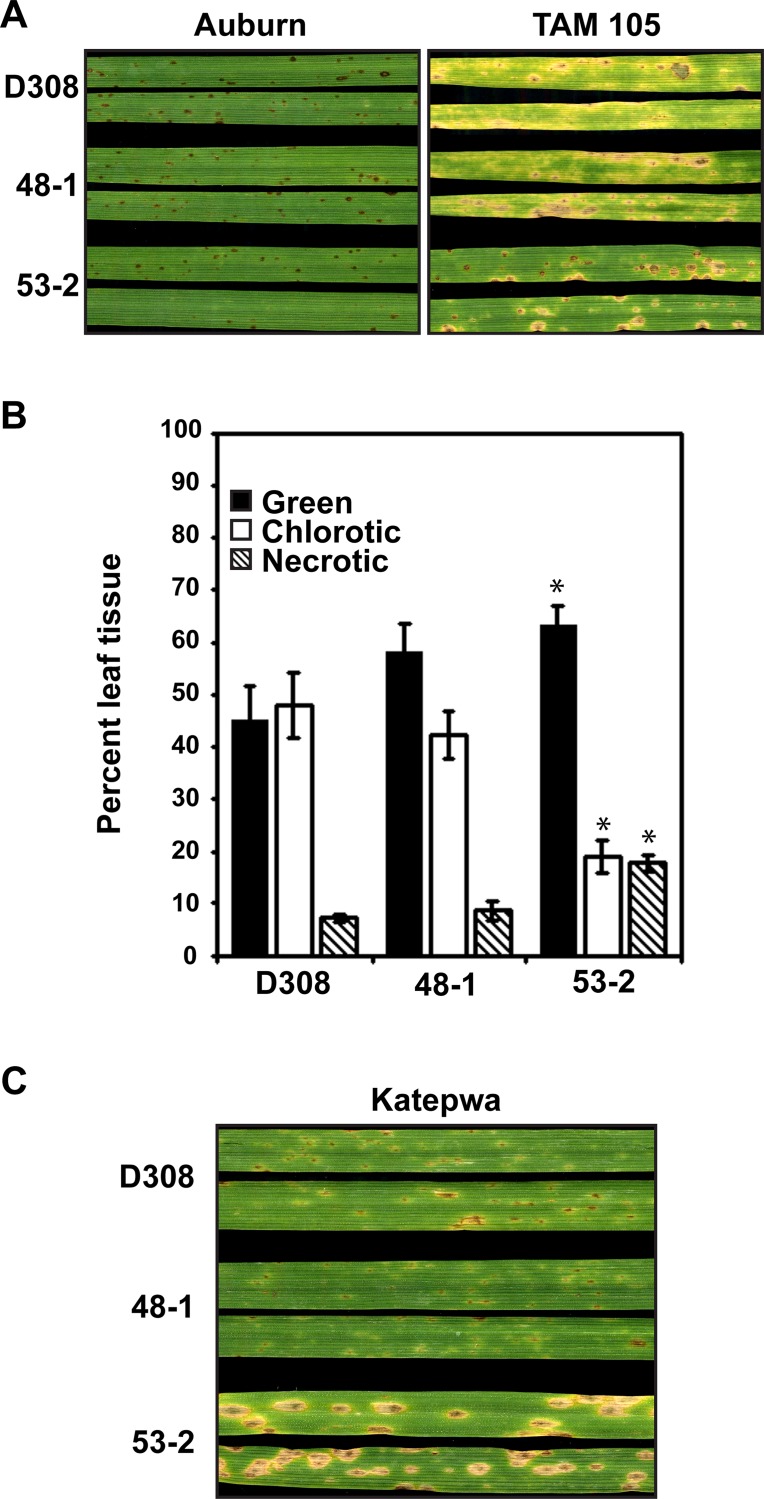 Fig 6