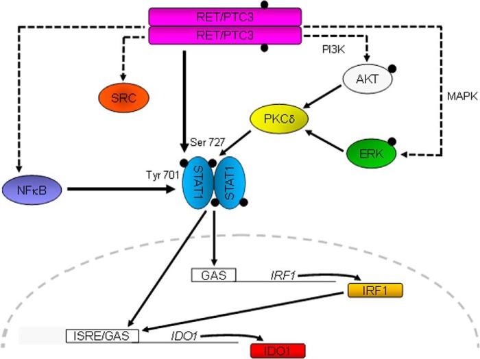 FIGURE 10.