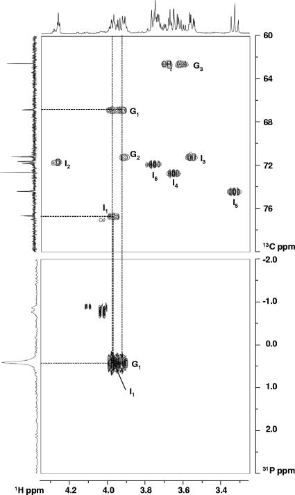 FIG. 1.