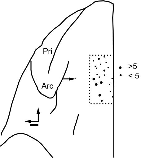 Fig. 9.