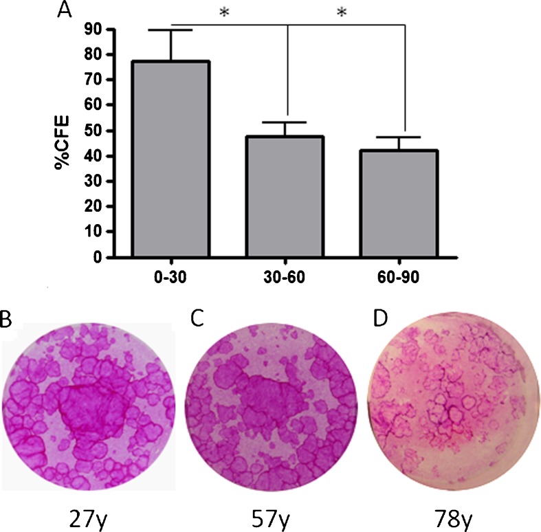 Fig. 10