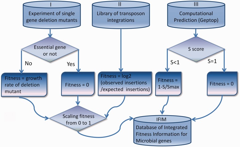 Figure 1.