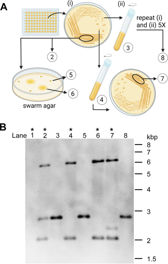 FIG 3