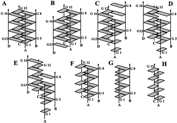 FIGURE 3