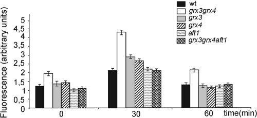 FIG. 2.