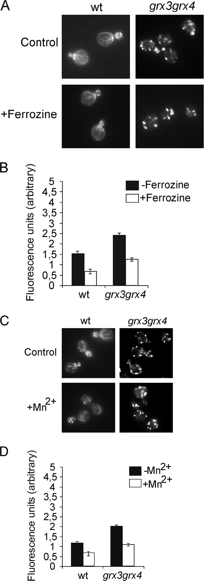 FIG. 5.