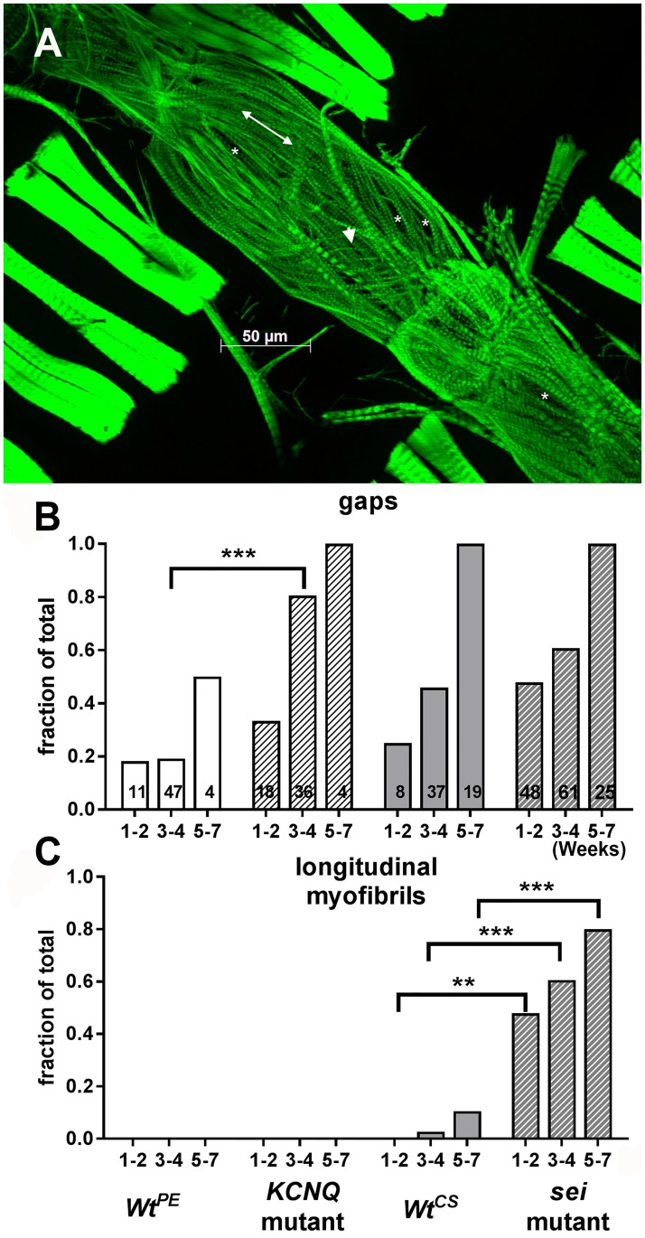 Fig 8