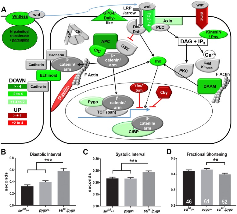 Fig 12