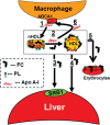 Figure 5.