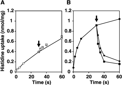 FIG. 7.