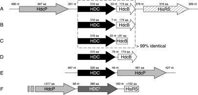 FIG. 8.