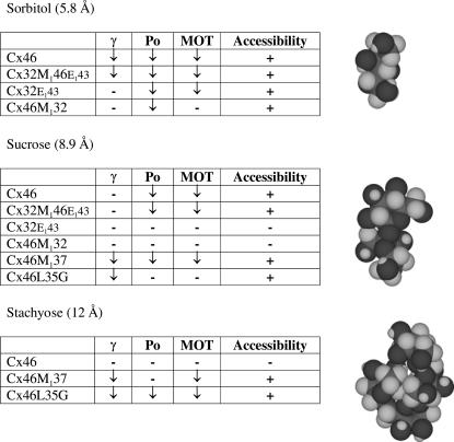 graphic file with name biophysj00066381T01_HT.jpg