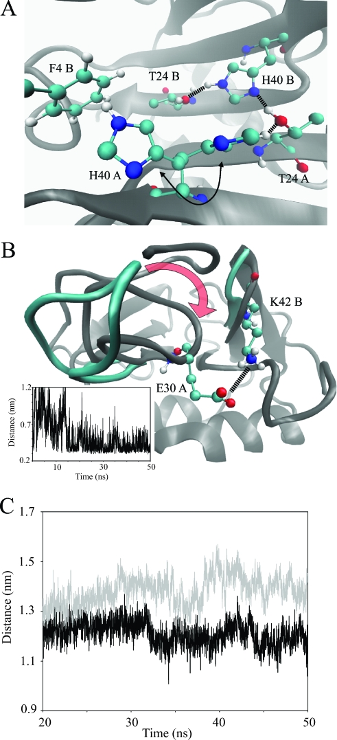 FIG. 5.