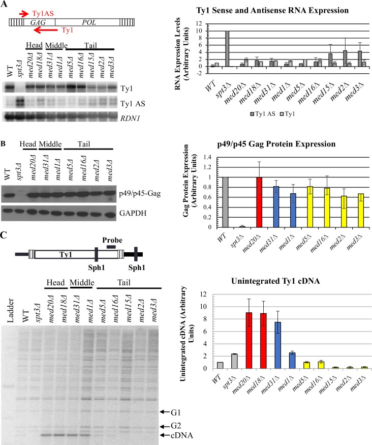 Fig 3