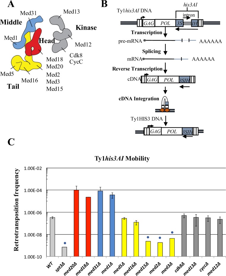 Fig 2