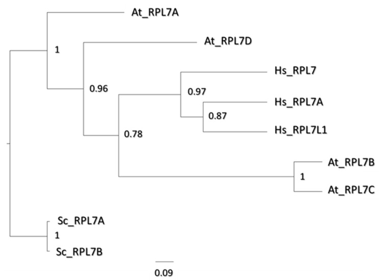 Figure 7