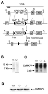 FIG. 1