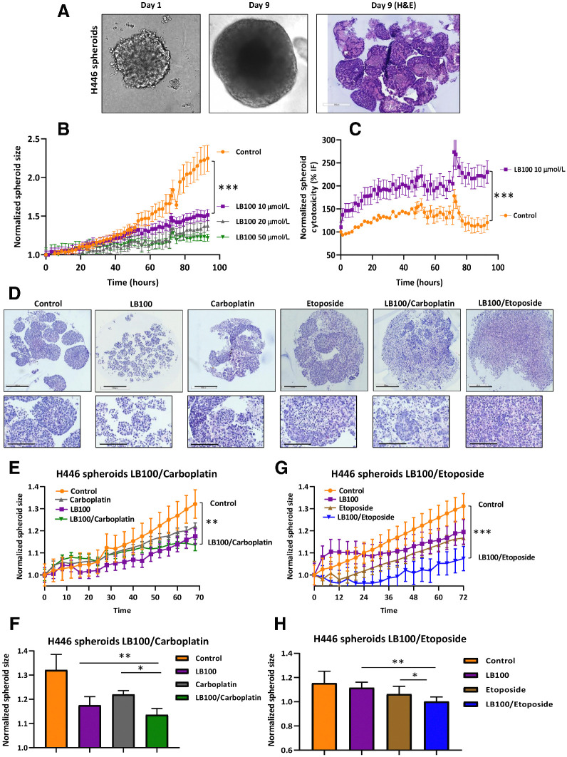 Figure 2. Effect of LB-100 on H446 spheroid growth. A, Morphology of a single spheroid of H446 cells on days 1 and 9. Spheroids grow continuously, and H&E staining is represented. B, Spheroid's growth in response to LB100 treatment was recorded with IncuCyte Live-Cell Analysis System. C, Cytotoxicity effect of LB100 was recorded with IncuCyte Live-Cell Analysis System in the presence of LB100 and IncuCyte Cytotox reagent in green fluorescence. A total of 10 μmol/L of LB 100 significantly affected growth and viability of the cells (n = 2, six technical replicates). ***, P < 0.001. Student t test was used for comparison between control and LB100 treatment. D, Effect of LB100, carboplatin, etoposide, and drug combination on H446 spheroid morphology and growth. Representative images of H&E-stained H446 spheroids with LB100, carboplatin, etoposide, and combination treatment. Scale bar, 500 μm. The inserts are enlarged images of spheroids. Scale bar, 200 μm. E and F, Effect of LB100 and carboplatin alone or in combination was monitored using IncuCyte Live Cell system for 70 hours. Maximal significant inhibitory effect of LB100, carboplatin, or drug combination on spheroid's size was observed at timepoint 70 hours. LB100/carboplatin significantly inhibited spheroid's growth compared with control. **, P < 0.01. Results were analyzed with Student t test. G and H, Effect of LB100 and etoposide alone or in combination was monitored using IncuCyte Live Cell system for 72 hours. LB100/etoposide significantly inhibited spheroid's growth compared with control. ***, P < 0.001. Results were analyzed with Student t test. Maximal significant inhibitory effect of LB100, carboplatin, or drug combination on spheroid's size was observed at timepoint 70 and 72 hours (n = 3 biological replicates). *, P < 0.05; **, P < 0.01 results were analyzed by ANOVA with Tukey post test.