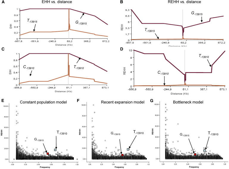 Figure 6