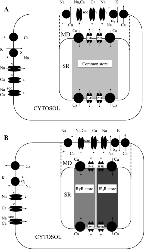 Fig. 1.