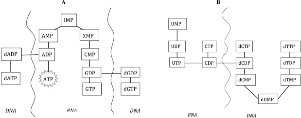 Fig. (11)